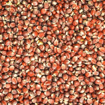 FumyFutter Mais Cribs Bordeaux 2 kg