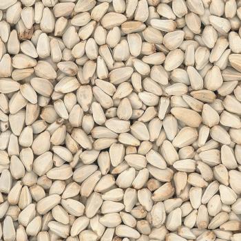 FumyFutter Kardisaat 2 kg