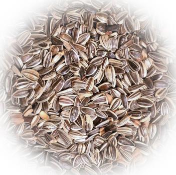 FumyFutter Sonnenblumenkerne 20 kg