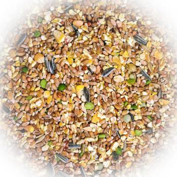 FumyFutter Geflügelkörner Ardenner 20 kg