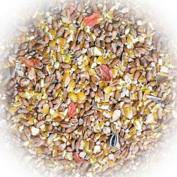 FumyFutter Geflügelkörner mit Karotte 25 kg