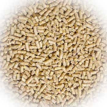 FumyFutter Legekorn Eco LK 25 kg