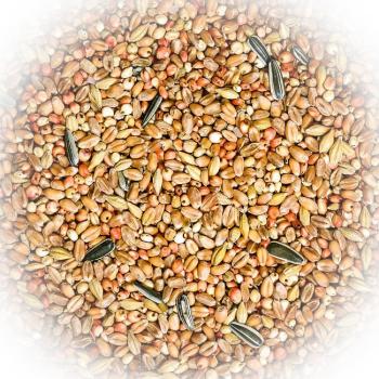 FumyFutter Geflügelkörner ohne Mais 25 kg