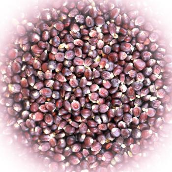 FumyFutter Mais Cribs Bordeaux 25 kg