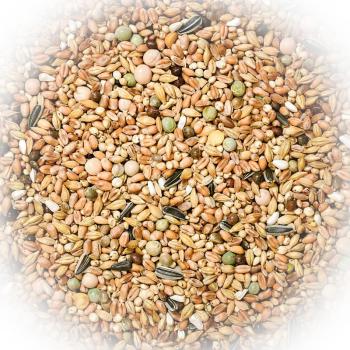 FumyFutter Nr. 11 Schau Spezial ohne Mais ohne Milo 25 kg