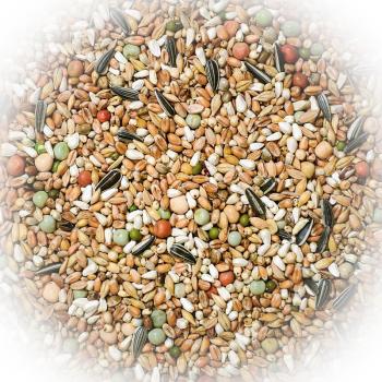 FumyFutter Nr. 15 "Maik Löffler 2" Tierarztmischung 25 kg