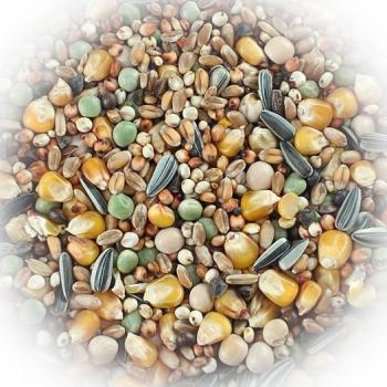 FumyFutter Nr. 18 Top Zucht & Reise 25 kg