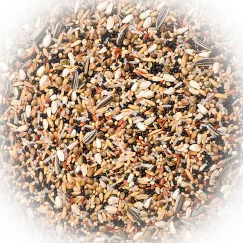 FumyFutter Nr. 20 Taubensämereien/Rennfutter 20 kg