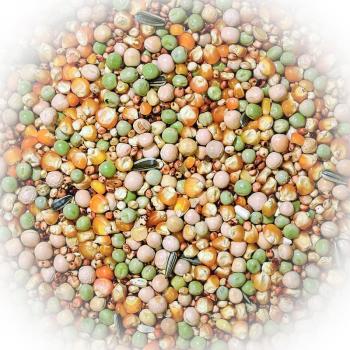 FumyFutter Nr. 2 Zucht & Reise ohne Weizen 25 kg