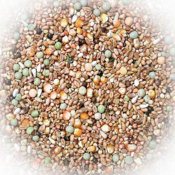 FumyFutter Nr. 4 Jungtauben & Kleine Rassen 25 kg