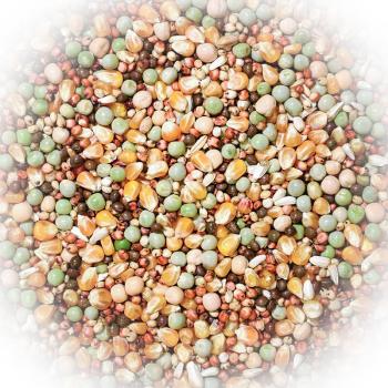 FumyFutter Nr. 6 Rasse ohne Weizen 25 kg