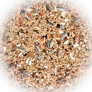 FumyFutter Wachtelfutter & Volieren-Mix 20 kg