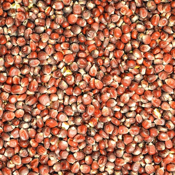 FumyFutter Mais Cribs Bordeaux 2 kg