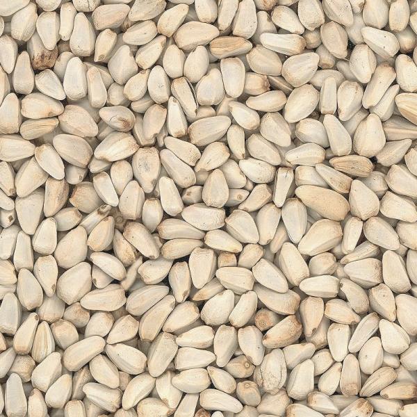 FumyFutter Kardisaat 2 kg